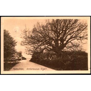 Taasinge - Ambrosius- Egen - Chr. G. Kielberg 37 - Brugt