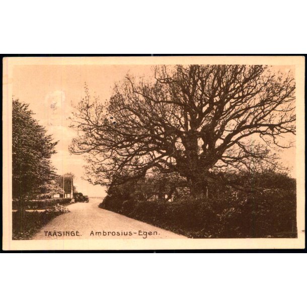 Taasinge - Ambrosius- Egen - Chr. G. Kielberg 37 - Brugt