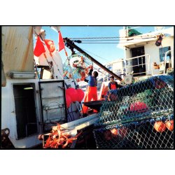 Krabbefiskeri ved Grnland - Grnlands Postvsen 41/93 - Ubrugt