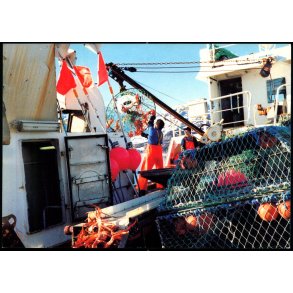 Krabbefiskeri ved Grnland - Grnlands Postvsen 41/93 - Ubrugt