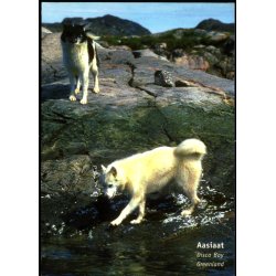 Aasiaat - Disco Bay - Greenland - Rolf Mller u/n - Brugt