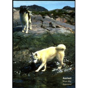 Aasiaat - Disco Bay - Greenland - Rolf Mller u/n - Brugt
