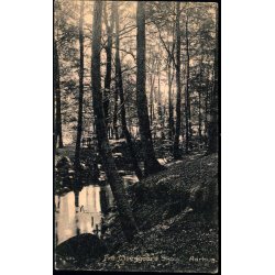 Fra Moesgaard Skov - Aarhus - Hempelske Bogh. 606 - Brugt