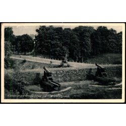 Kanoner p� Fredericia gamle voldgrave - Rudolf Olsen 7214 - Brugt