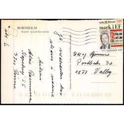 Bornholm - Lve og Kamerlhovedeerne - W. Dams Bogh. 9902 - Brugt