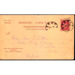 Hadangerbarn med Skaut - Norge  - Brugt