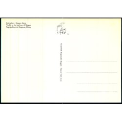 Lystsejlere i Skagen Havn  - Gr�sb�lls  7805 - Ubrugt