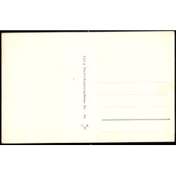 Kbenhavn - Raadhuspladsen - Thejlls Kunstforlag 101