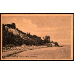 Faaborg - Slotsklinten - Dyreborg - F.C. Alstr�ms Bogh.  33576 - Ubrugt