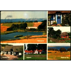 Mols - Elles Offset 647 - Brugt