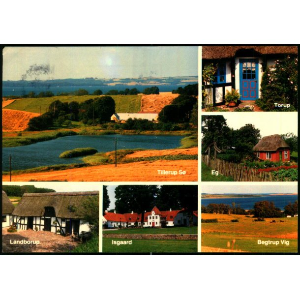 Mols - Elles Offset 647 - Brugt