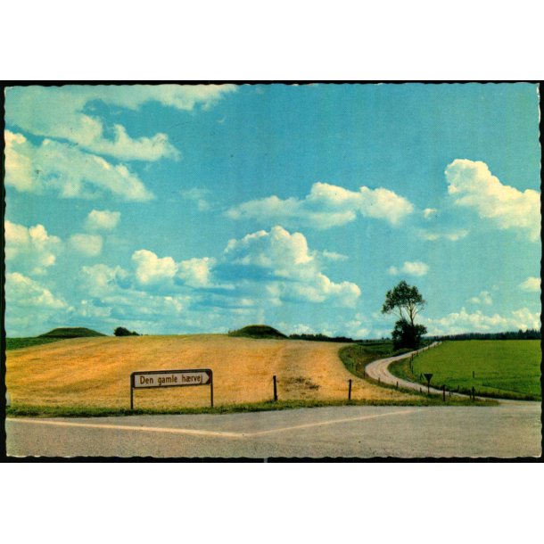 Dan gamle H�rvej - Stender 49 718/24 - Brugt