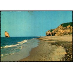 Bulbjerg med Skarreklit - Bornerup 33/11 - Brugt