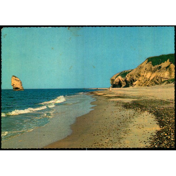 Bulbjerg med Skarreklit - Bornerup 33/11 - Brugt