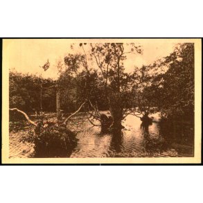 Silkeborg - Elletranferne ved Naaege - H. Pedersen 27 - Ubrugt