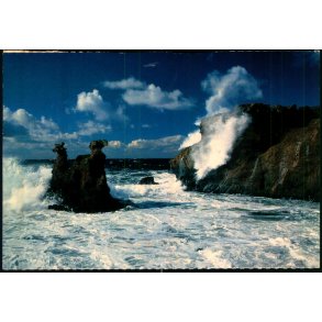 Bornholm - Lve og Kamerlhovedeerne - W. Dams Bogh. 9902 - Brugt