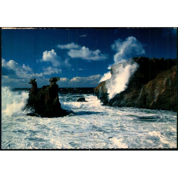 Bornholm - Lve og Kamerlhovedeerne - W. Dams Bogh. 9902 - Brugt