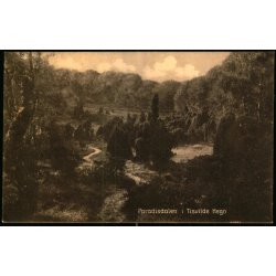 Paradisdalen i Tisvilde Hegn - S. Nielsen 58907 - Brugt