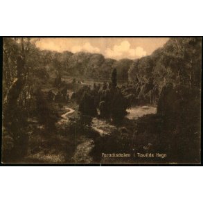 Paradisdalen i Tisvilde Hegn - S. Nielsen 58907 - Brugt