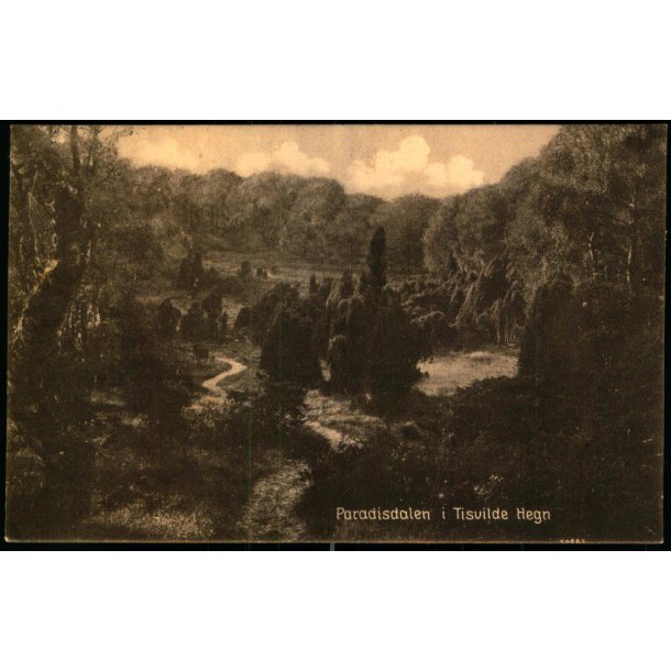 Paradisdalen i Tisvilde Hegn - S. Nielsen 58907 - Brugt