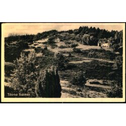 Tibirke Bakker - P. Thuneby 11 - Brugt