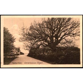 Taasinge - Ambrosius- Egen - Chr. G. Kielberg 37 - Ubrugt