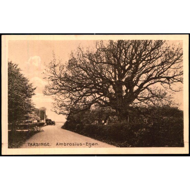 Taasinge - Ambrosius- Egen - Chr. G. Kielberg 37 - Ubrugt