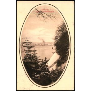 Svendborg - Udsigt fra Christiansminde - P. Brandts Bogh. 39542 - Brugt