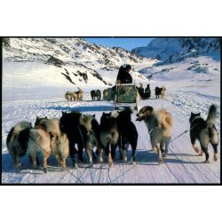 Hundesldekrsel - Grnlands Post 45/93 - Brugt