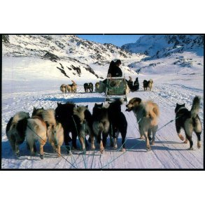 Hundesldekrsel - Grnlands Post 45/93 - Brugt