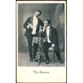 The Amonus - u/n -  Brugt