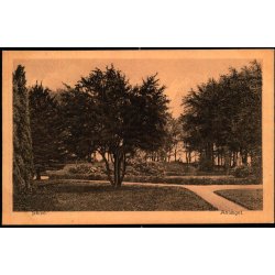 Skive - Anl�get - u/n - Ubrugt