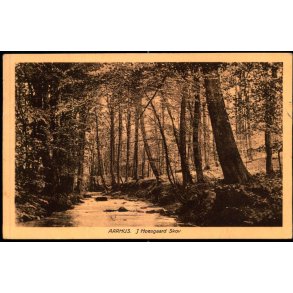 Aarhus - Moesgaard Skov - Ernst Larsen 100 - Brugt