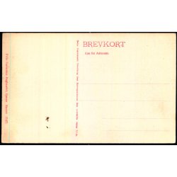 Bornholm - Kongemindet - Almindingen - F. Srensens Bogh. 17471 - Ubrugt