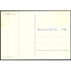 Bornholm - Rgeriet i Svaneke - W. Dams Bogh. 6112 - Ubrugt