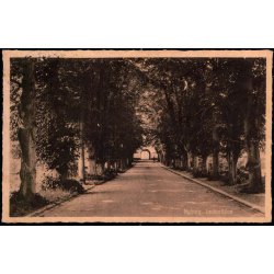 Nyborg - Lindealleen - Stender N. 47 - Brugt