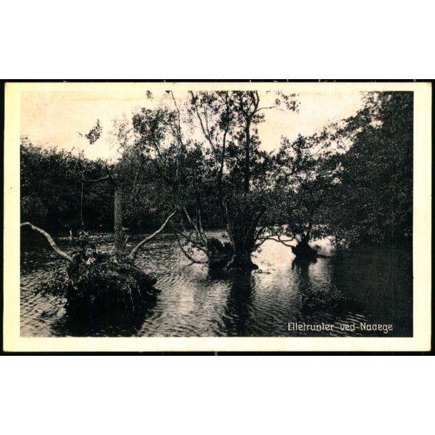 Elletranferne ved Naaege - Stender S. 27 - Ubrugt