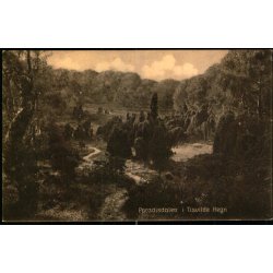 Paradisdalen i Tisvilde Hegn - S. Nielsen 58907 - Brugt