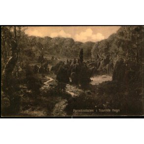 Paradisdalen i Tisvilde Hegn - S. Nielsen 58907 - Brugt
