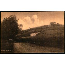 Tibirke Bakker - S. Nielsen 51293 - Ubrugt