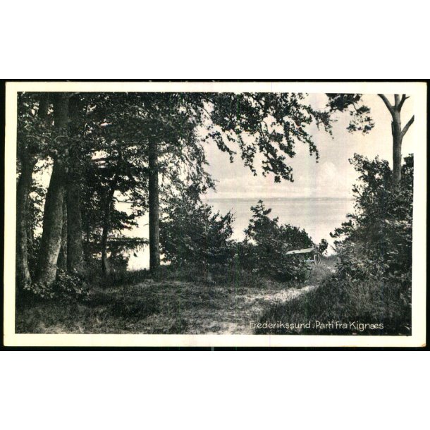 Frederikssund - Parti fra Kigns - Erik Halt 65449 - Ubrugt
