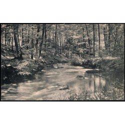 Aarhus - Aasen i Moesgaard Skov - H.H.O. 5117 - Brugt