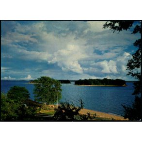 Okse�erne - H. Ingwersen 313 - Brugt