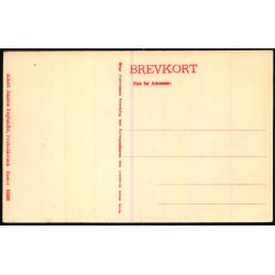 Tibirke Bakker - A. Jensens Bogh. 21983 - Ubrugt