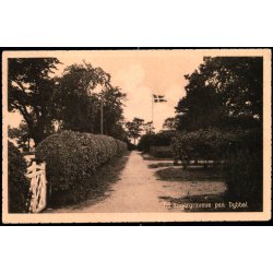 Fra Krigergravene paa Dybb�l - Stender D. 9 - Ubrugt