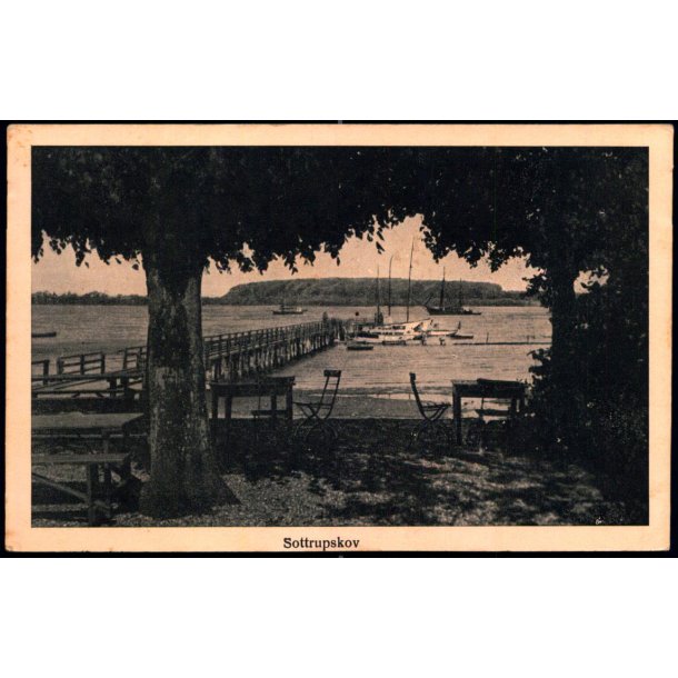 Sottrupskov - Nr. 564 - Brugt