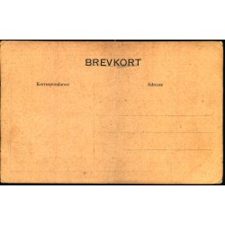 The Syborgs - u/n -  Ubrugt