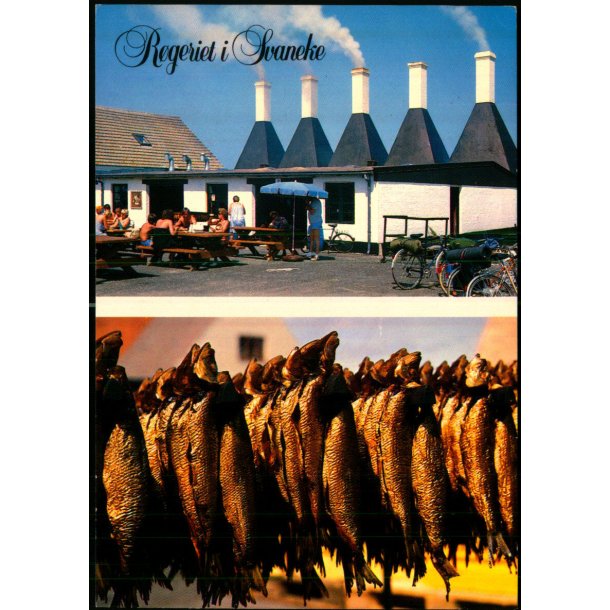 Bornholm - Rgeriet i Svaneke - W. Dams Bogh. 6112 - Brugt