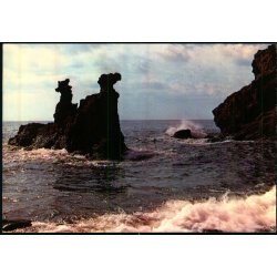 Bornholm - Lve og Kamerlhovedeerne - W. Dams Bogh. 6093 - Ubrugt