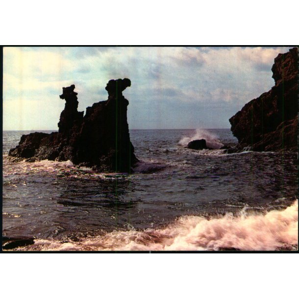 Bornholm - Lve og Kamerlhovedeerne - W. Dams Bogh. 6093 - Ubrugt